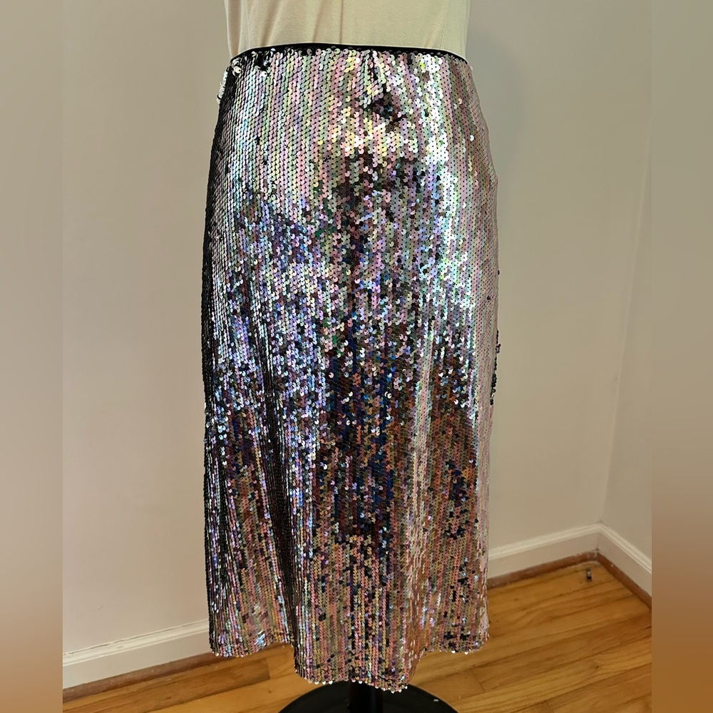 Sequin Midi Pencil Skirt Size Large 🪩